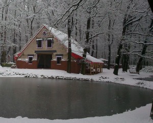Winterruh Januar 2015 am Heimathof Börger